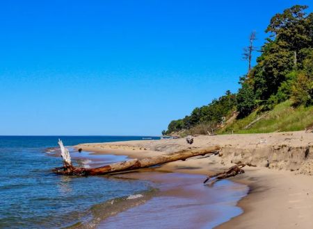 Pioneer Park Campground