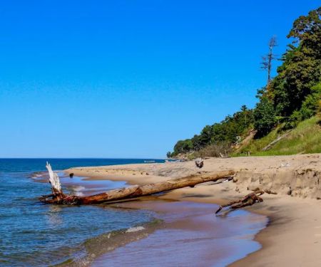 Pioneer Park Campground