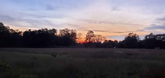 Oak Meadows Picture 4