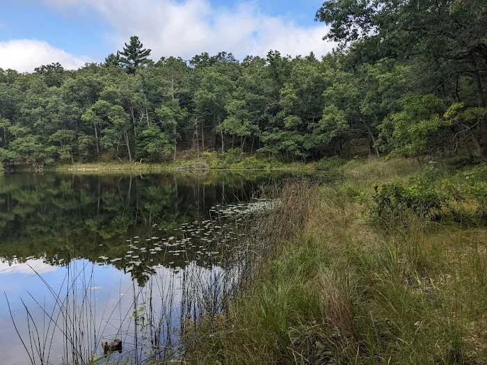Bass Lake Campsite, Owasippe Scout Reservation Picture 1