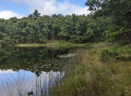 Bass Lake Campsite, Owasippe Scout Reservation