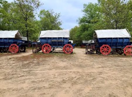 Wagons On