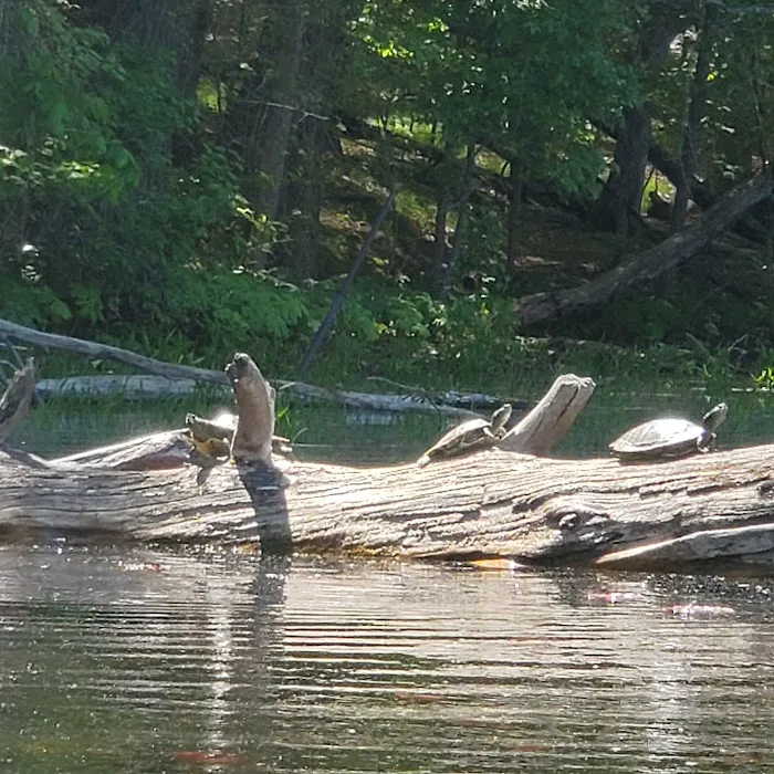 Hiawatha Beach Campsite, Owasippe Scout Reservation Picture 4