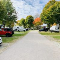 Selma Estates and RV Park LLC ico