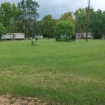 Marys place RV PARK