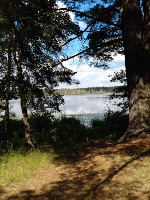 Benton Lake Campground Picture 7