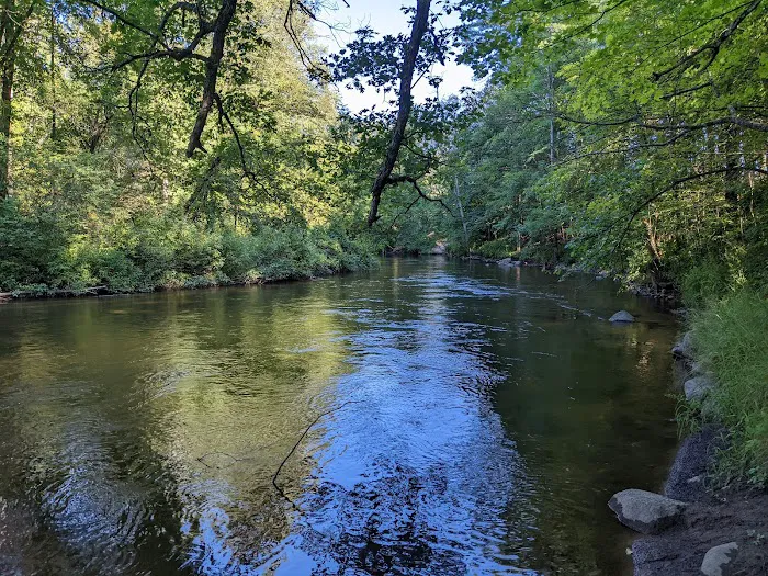 Pines Point Campground Picture 1