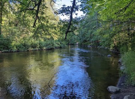 Pines Point Campground