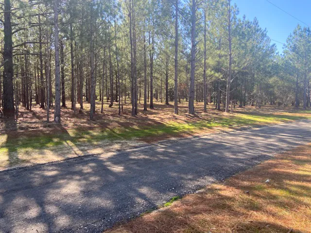 Livin On Wheels RV Park Picture 5