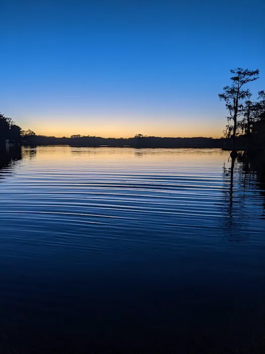 Cypress Lake Mobile Home Park Picture 2