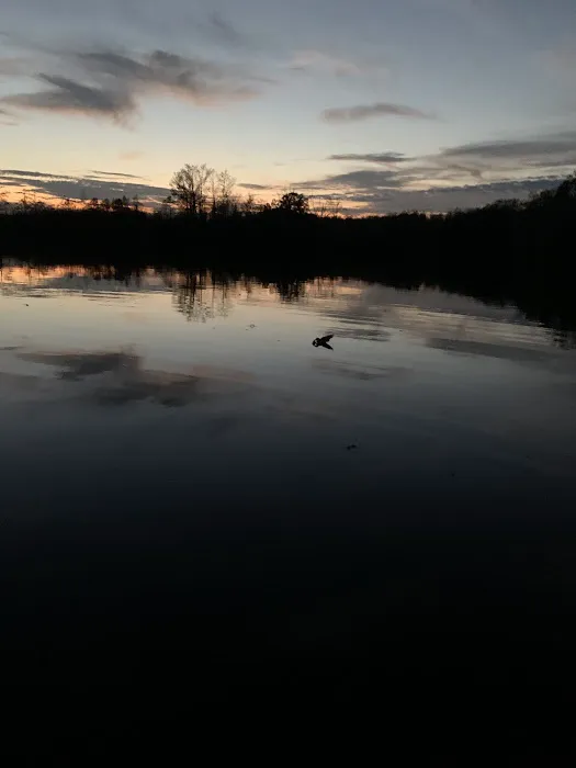 Cypress Lake Mobile Home Park Picture 6