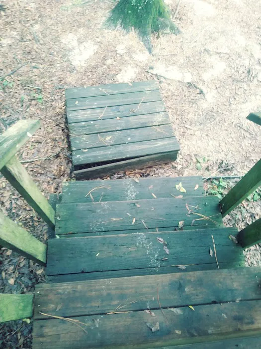 Cypress Lake Mobile Home Park Picture 5