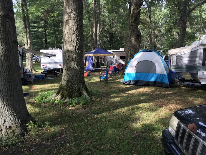 Acorn Oaks RV Park Picture 4