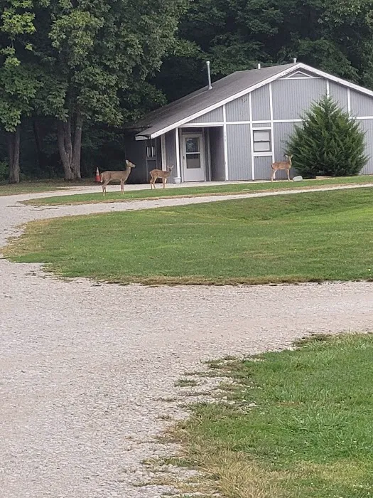 White Oaks on the Lake RV Resort Picture 2