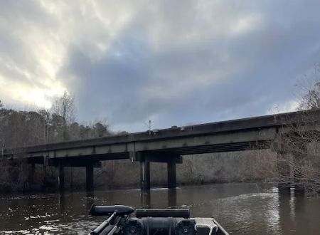 Cypress Lake Drive