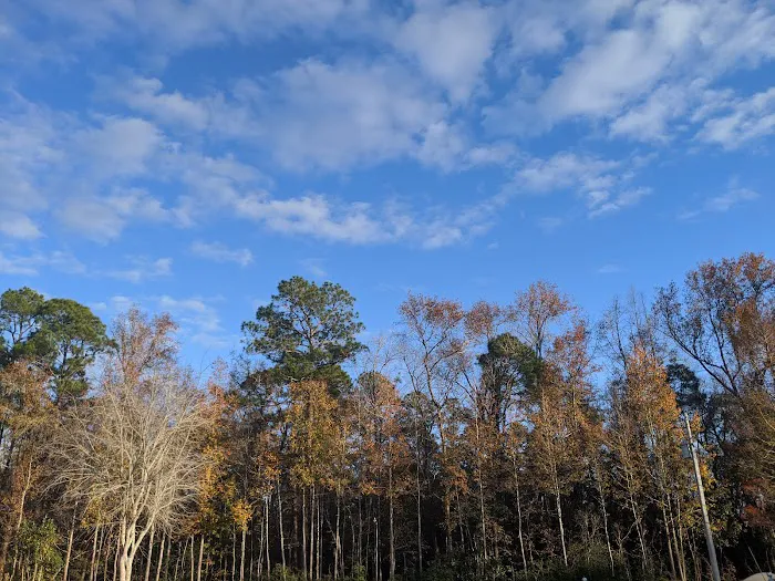 Parkwood Rv Park & Cottages Picture 4