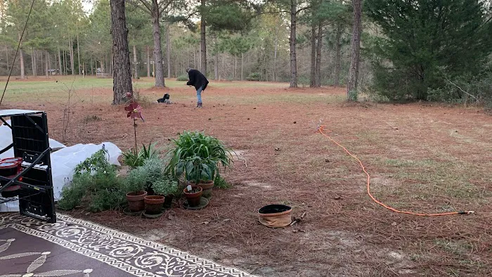 Shady Pines RV Park Picture 2