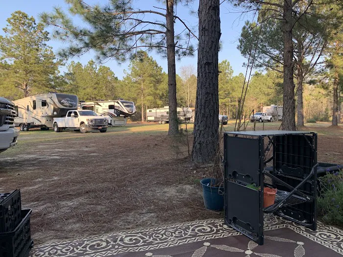Shady Pines RV Park Picture 3