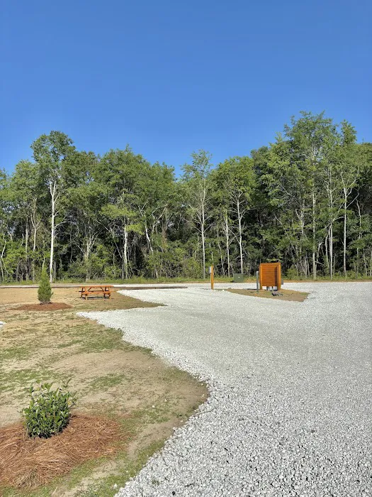 Sunny Days RV Park & Campground Picture 2