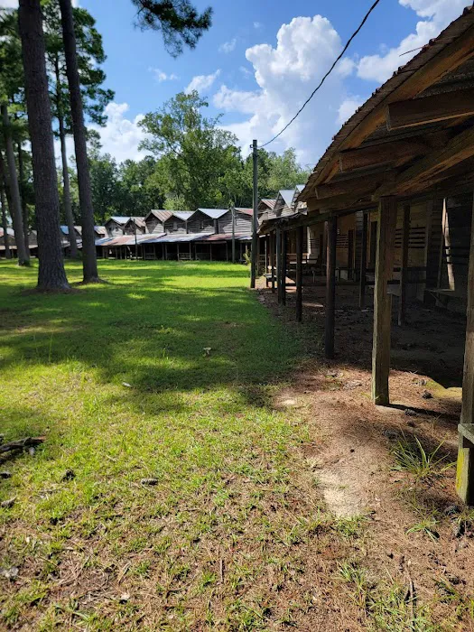 Indian Field Campground Picture 2