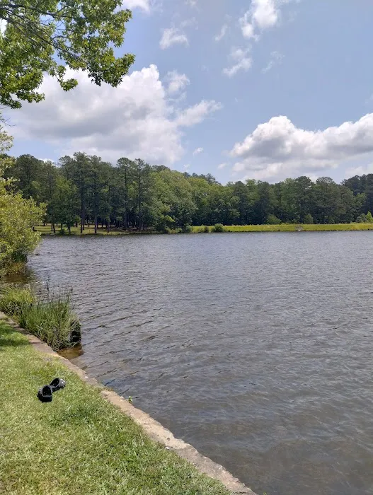 Parsons Mountain Lake Campground Picture 3