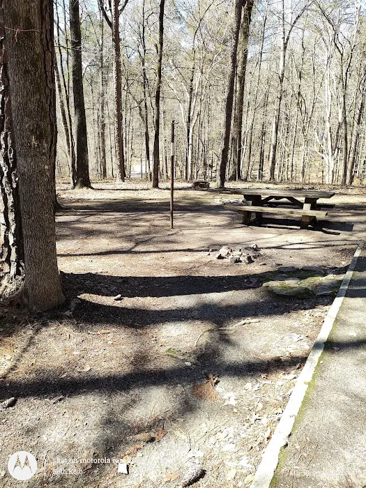 Parsons Mountain Lake Campground Picture 4