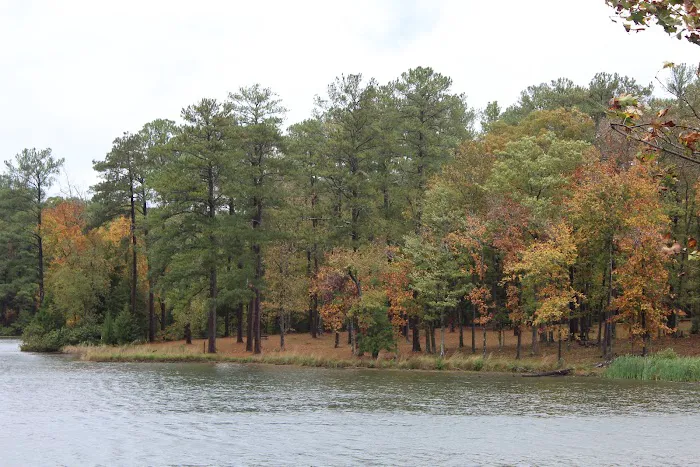 Parsons Mountain Lake Campground Picture 8