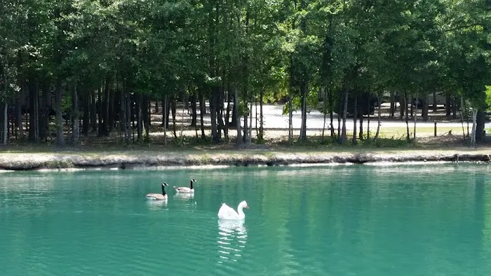 Albany RV Resort Inc Picture 7