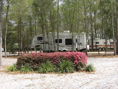 Albany RV Resort Inc Picture 10