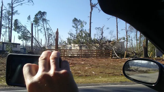 Paradise Village of Albany Picture 6