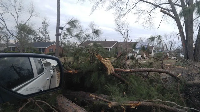 Paradise Village of Albany Picture 8