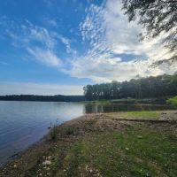 Holliday Park ico