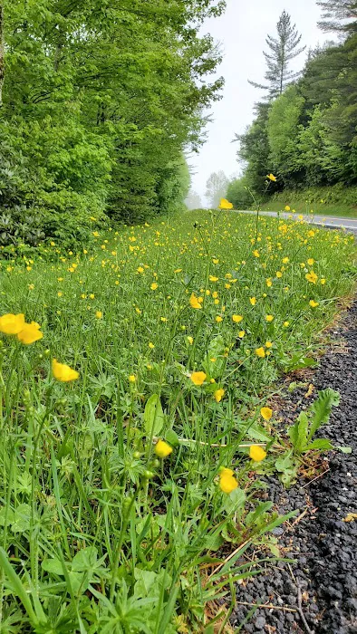 Trailhead Picture 3