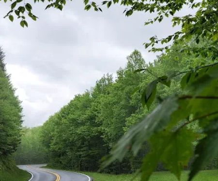Trailhead