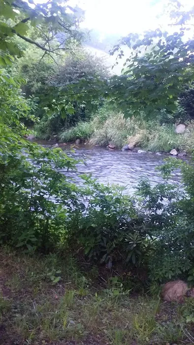 SDC Campground Picture 1