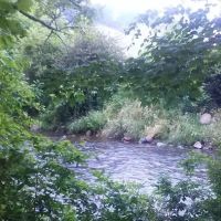 SDC Campground ico