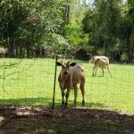 Piddlers Ridge Long-term RV Park