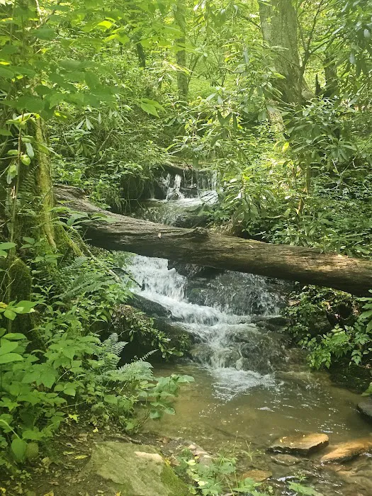 Deep Creek Campground Picture 5