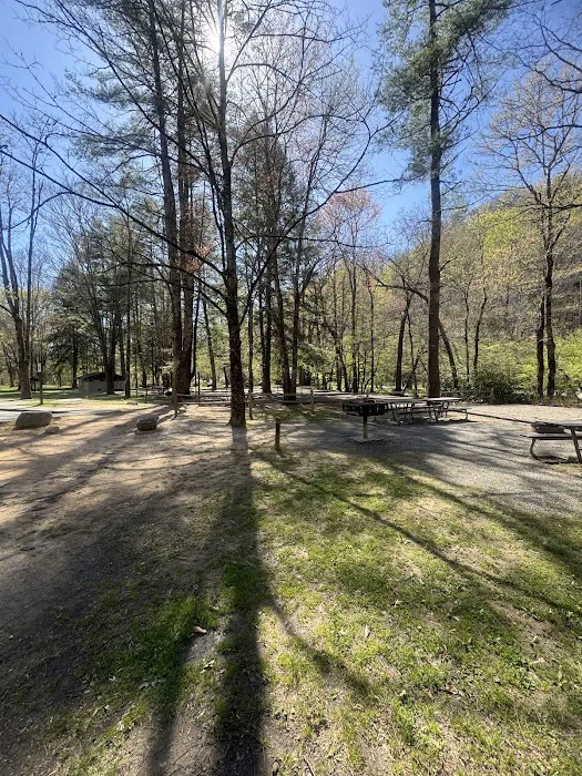 Deep Creek Campground Picture 7