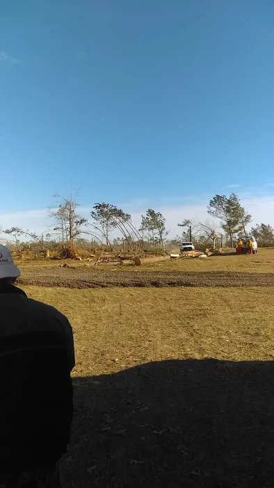 Albany Dunes Picture 7
