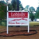 Loblolly
