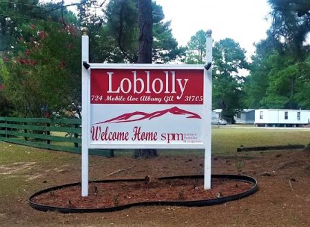 Loblolly