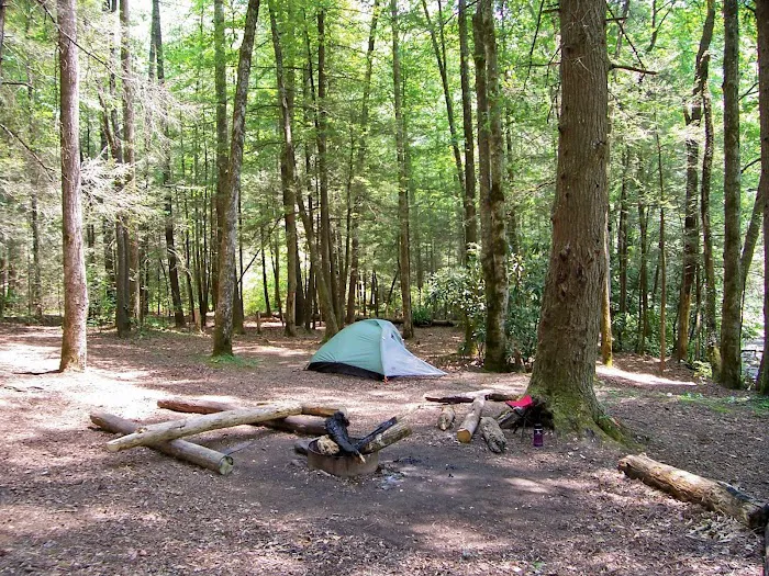 Backcountry Camp 60 Picture 3
