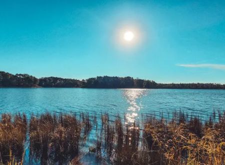 Lakelife RV Park