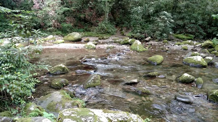 Backcountry Camp 53 Picture 3