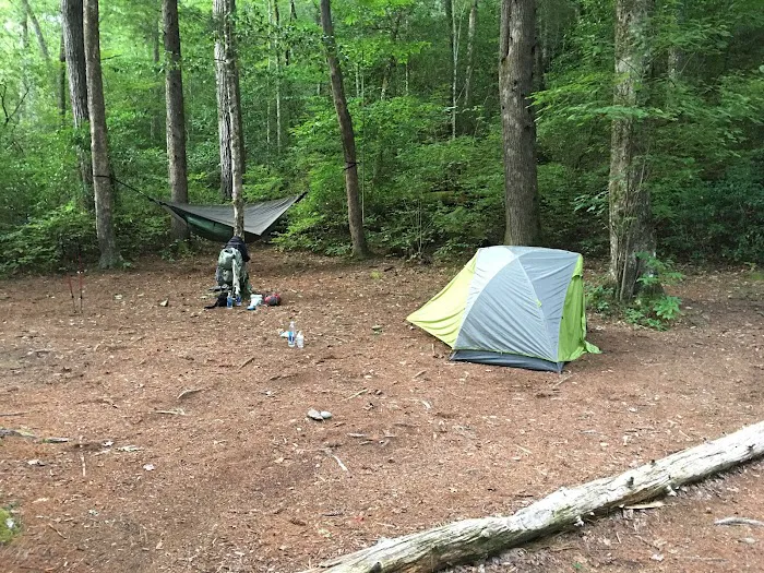 Backcountry Campsite #56 Picture 1