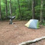 Backcountry Campsite #56