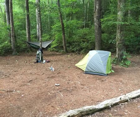 Backcountry Campsite #56