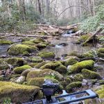 Backcountry Camp 57