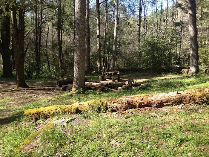 Backcountry Camp 57 Picture 3